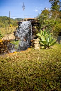 Tips for Creating a Relaxing Outdoor Garden Space at Home